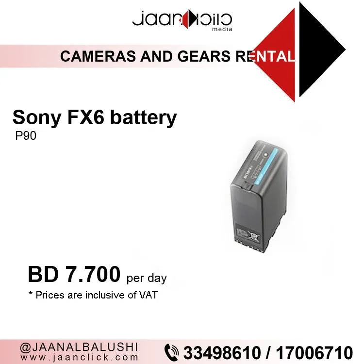 Sony FX6 Battery P90