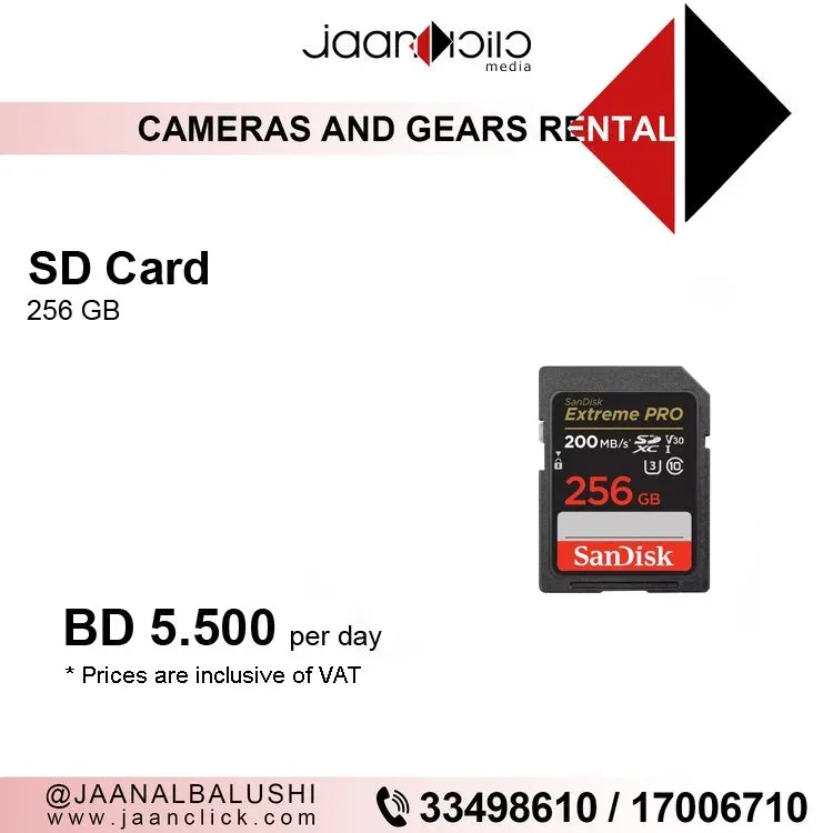 SD Card 256GB