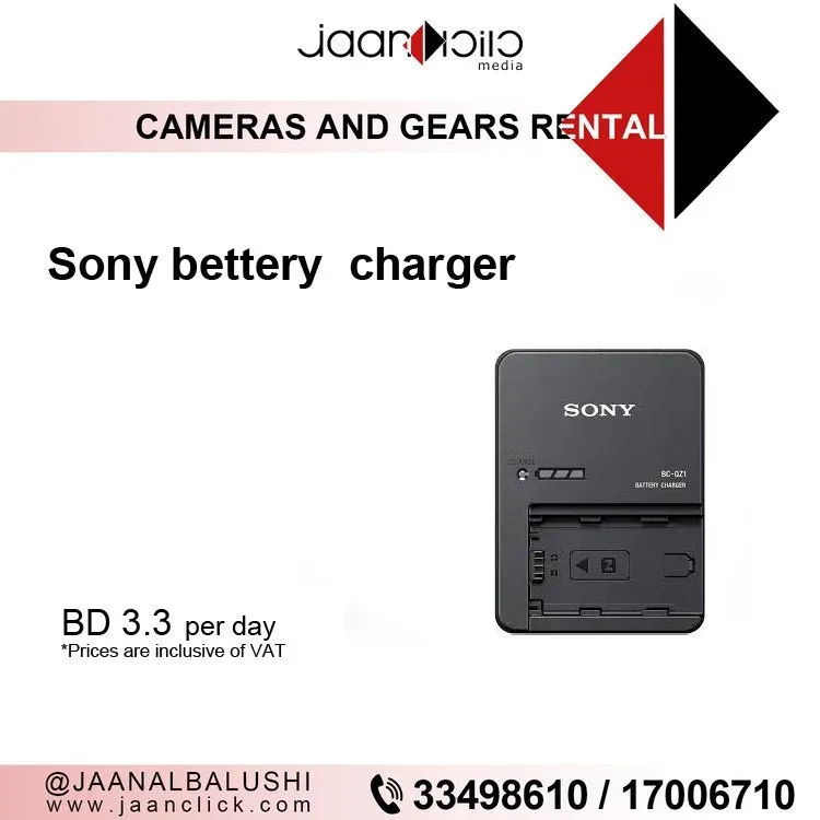 Sony Battery Charger