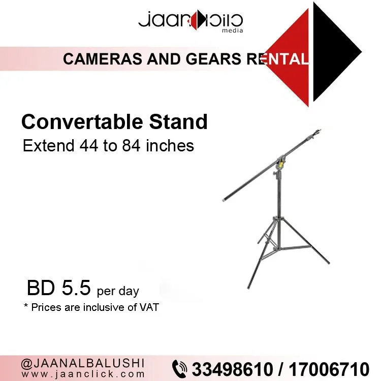 Convertable Stand