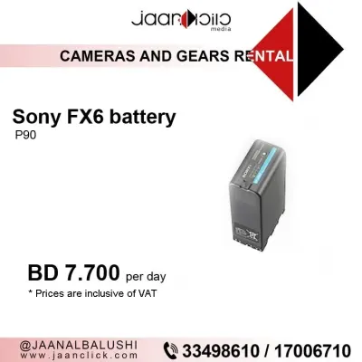 Sony FX6 Battery P90