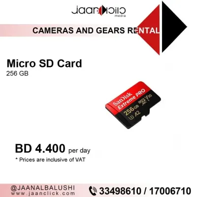 Micro SD Card 256GB