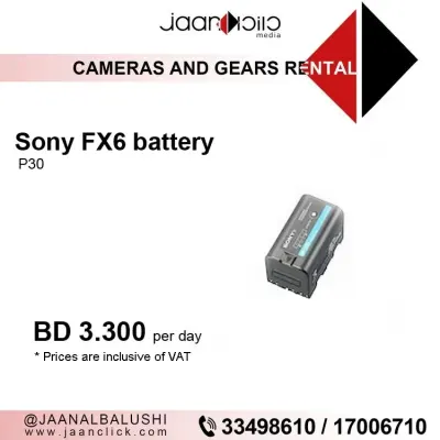 Sony FX6 Battery P30