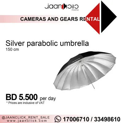 Silver Parabolic Umbrella
