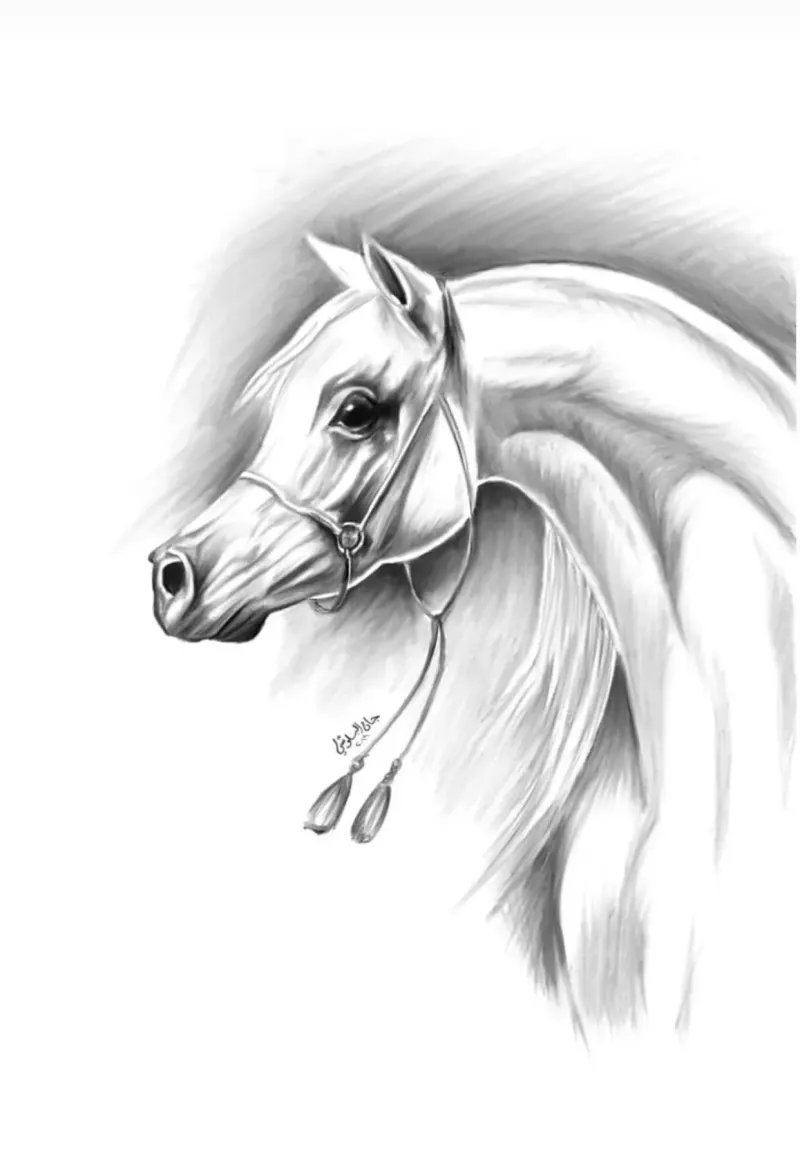Painting & Digital Art Collection — Painting & Digital Art photography by Jaan Click Media
