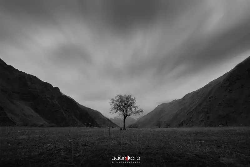 Lonely BW — Landscape & Cityscape photography by Jaan Click Media